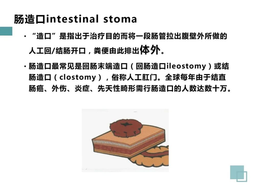 ppt成人肠造口护理标准解读