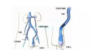 中国吃货美食图鉴，60岁之前吃过20个以上才算合格