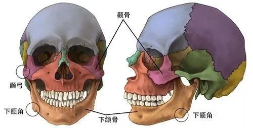 特朗普喊话州长:这周末开放教堂不听话＂推翻＂你们菜鸟教程