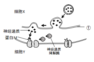 全网最会套路男朋友的女生，不是在整高泽宇，就是在想办法整他！吉安玛尔比恩早教中心收费