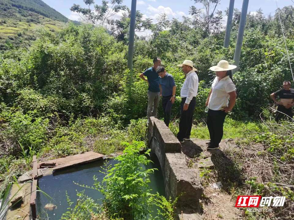 祁東水利幹部到田間全力保障尾灌區抗旱放水