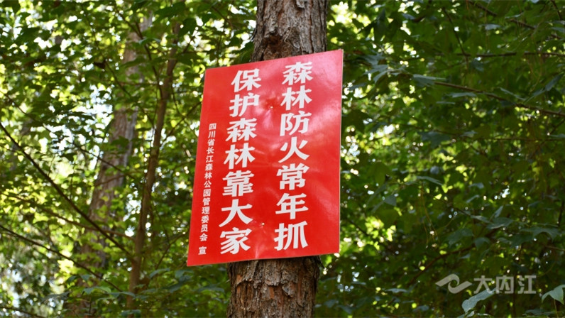 森林防火宣传标语