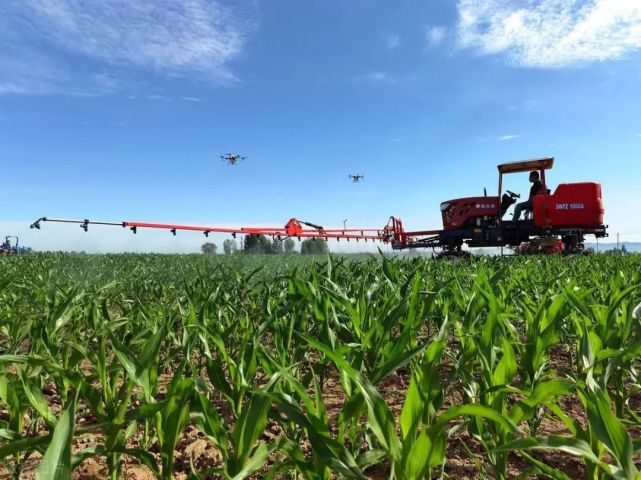 中国股市:"农林牧渔"概念第一龙头,拟10转65派12获批,即将彪涨!