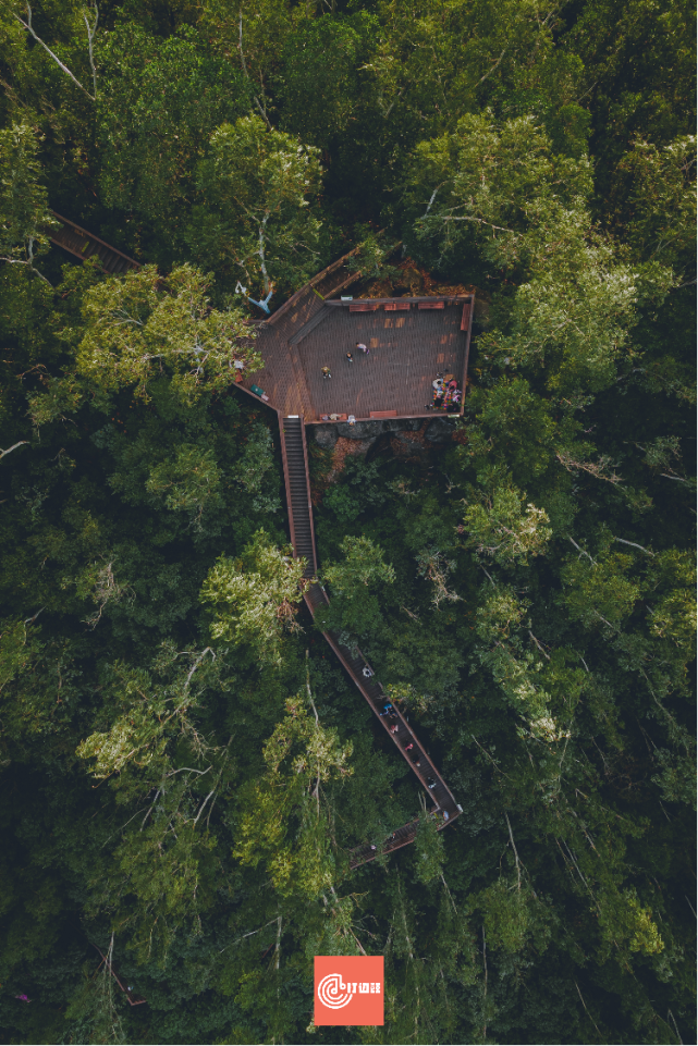 庞伟:中国的公园太精致,孩子们没地方撒野