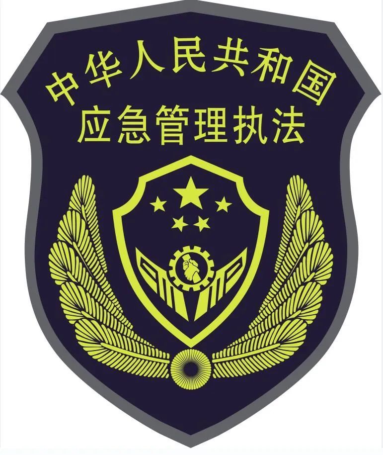 应急管理局徽章图片