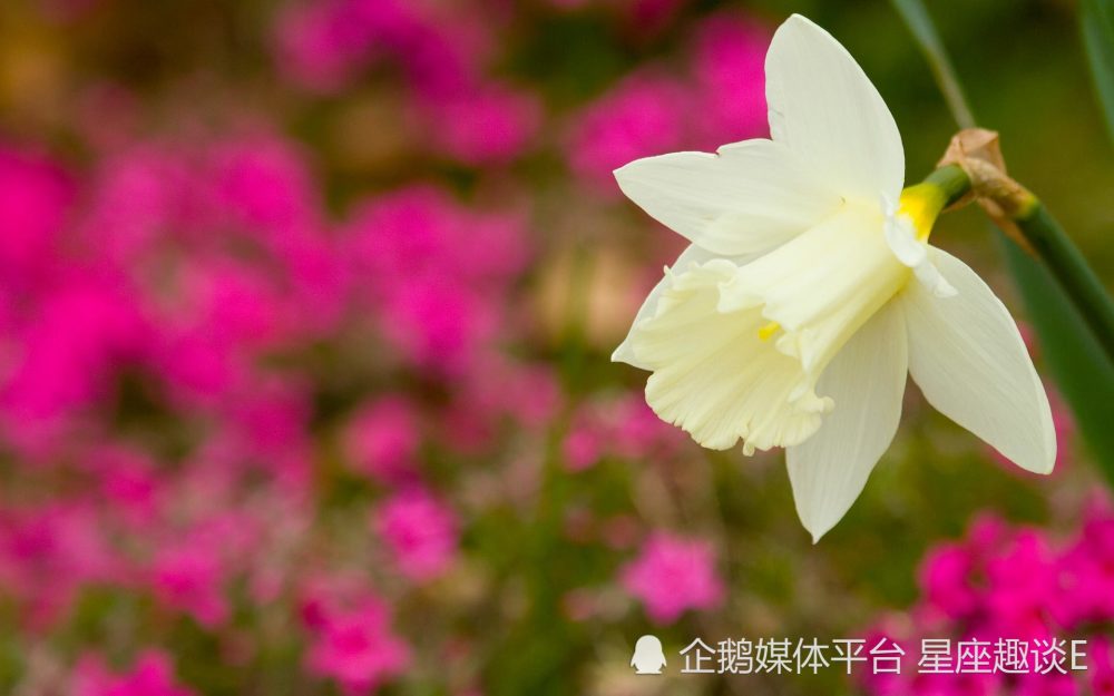 8月25日 31日星座运势 扬长避短 神采奕奕的四大星座 腾讯新闻