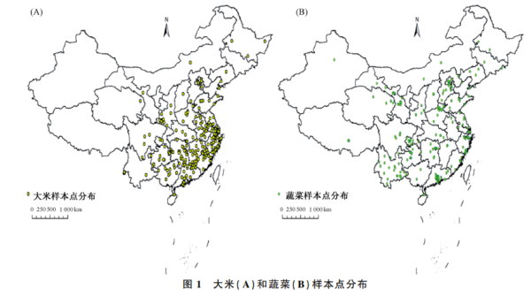 南京大学最新研究发布我国大米蔬菜重金属污染区域