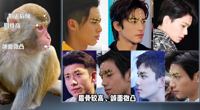 吴磊、王鹤棣，为什么95生有那么多猴系脸？