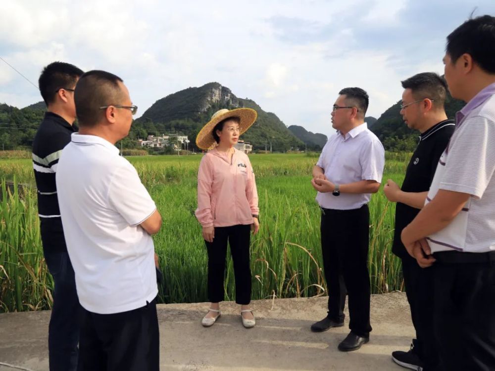 钟阳在独山县督导抗旱救灾工作时强调 从严从实统筹抓好抗旱救灾各项