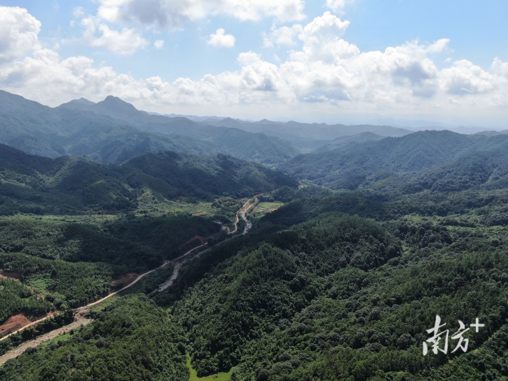 汕尾市国有吉溪林场跨越50年的绿色接力