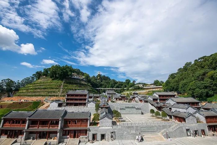 梧州三总府迎来最新动态景区道路绿化已就绪