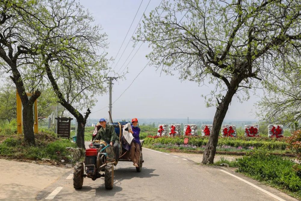 喜迎二十大乡镇看发展随县61唐县镇