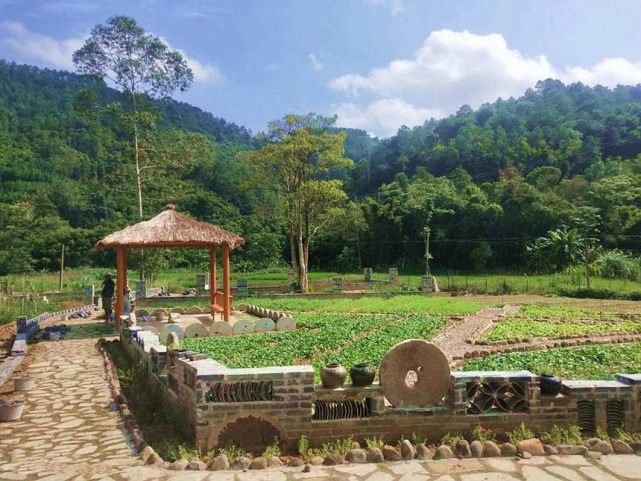 博白县双凤镇推进全域土地综合整治 实现生态产品价值共享取得良好