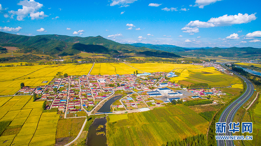 延边朝鲜族自治州建州70周年系列报道之乡村振兴篇——以"特"致富 选