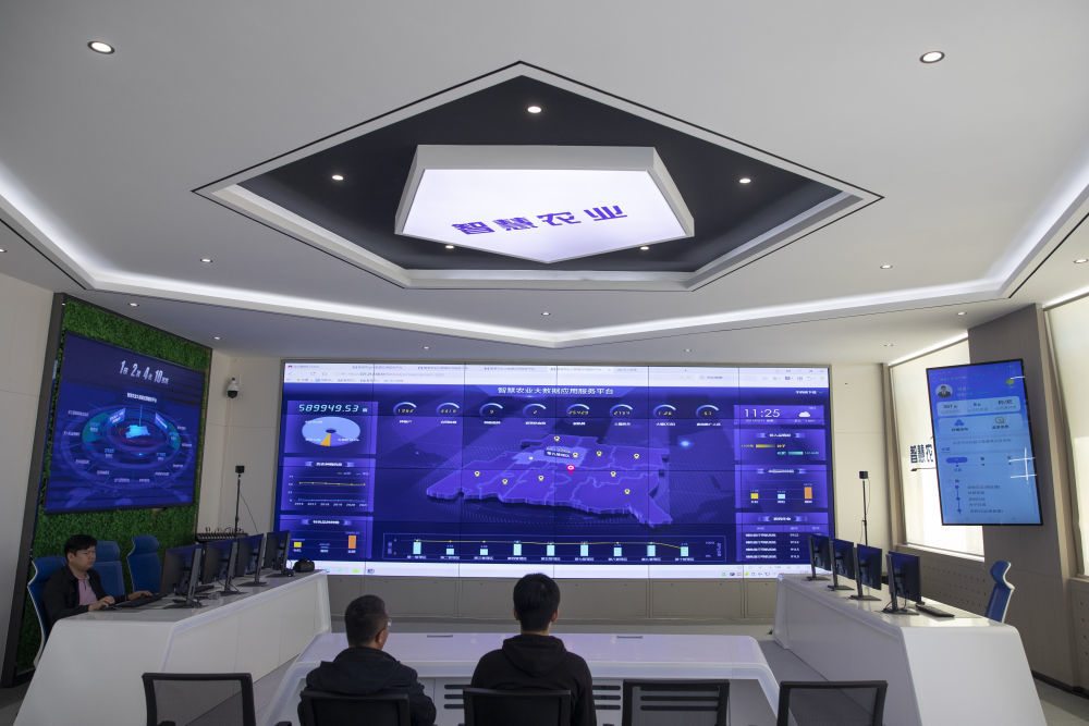 2021年5月11日,在智慧农业指挥中心,工作人员查询无人驾驶插秧机的