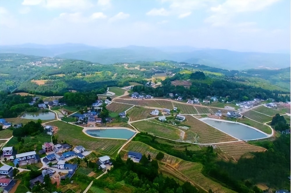 "巴中"新农人发展道地药材 开出乡村振兴"良方"_腾讯新闻