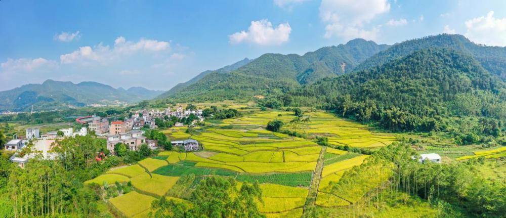 南部乡村旅游资讯(南部乡村旅游资讯最新消息)