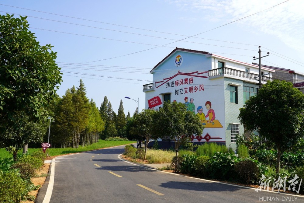 杨林寨乡菌鲜椒香水产兴宜居宜业谱新曲