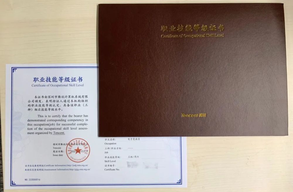 持证上岗王者荣耀和平精英头部选手首批获电子竞技员证书
