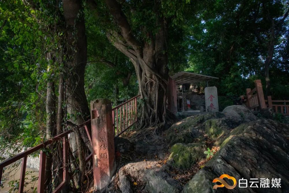 山上的广州博物馆门前碑廊现立于遗址的是复件沿珠江西航道逆流而上