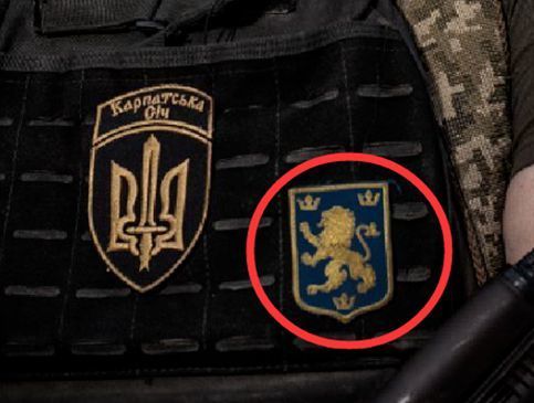 乌克兰新纳粹标志图片