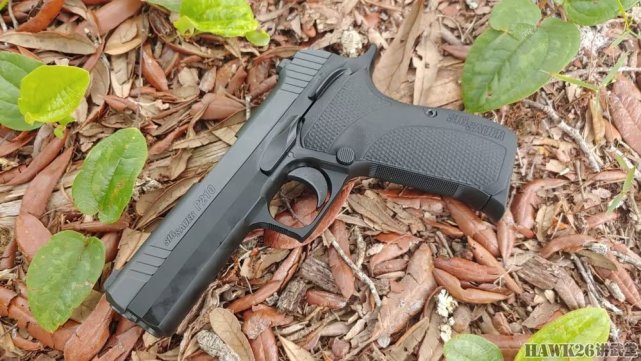 评测:西格绍尔p210便携型手枪 延续经典血统 理想全金属自卫武器