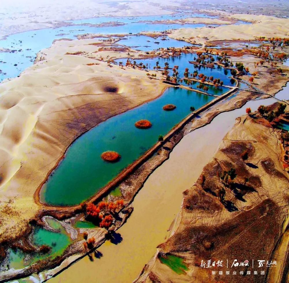 塔里木河是条什么河?一文读懂_腾讯新闻