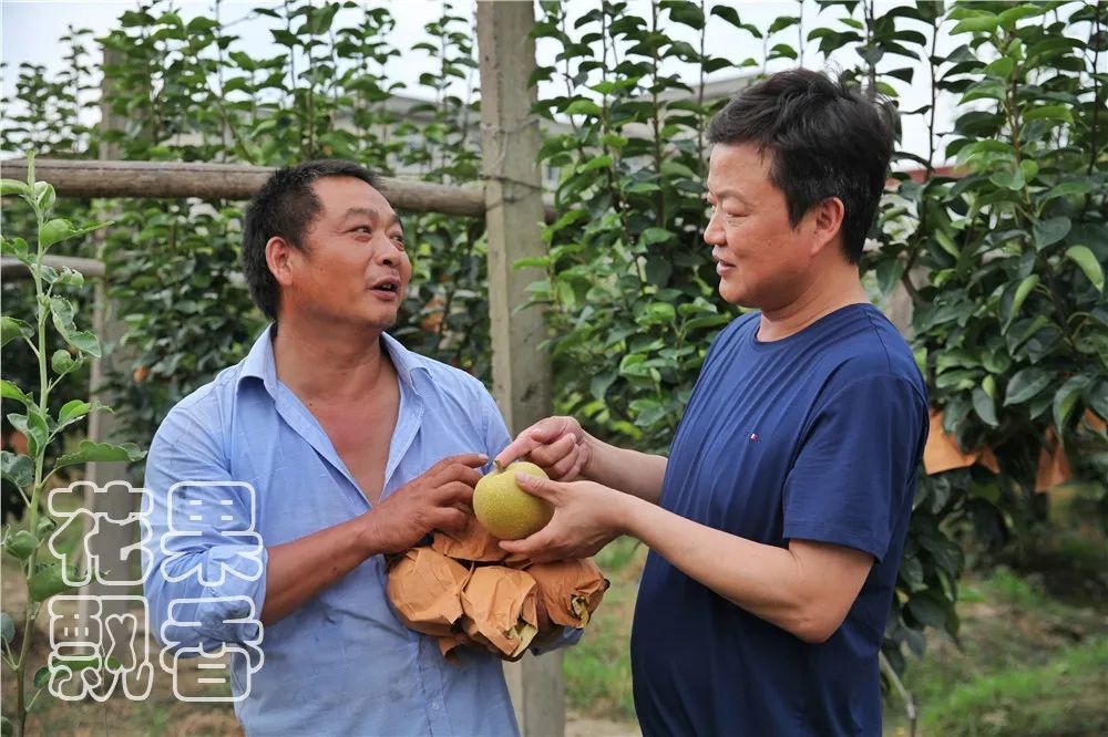 徐志胜怎么火的_徐志岩 广宇志合_兵圣杯於之莹胜朴志恩