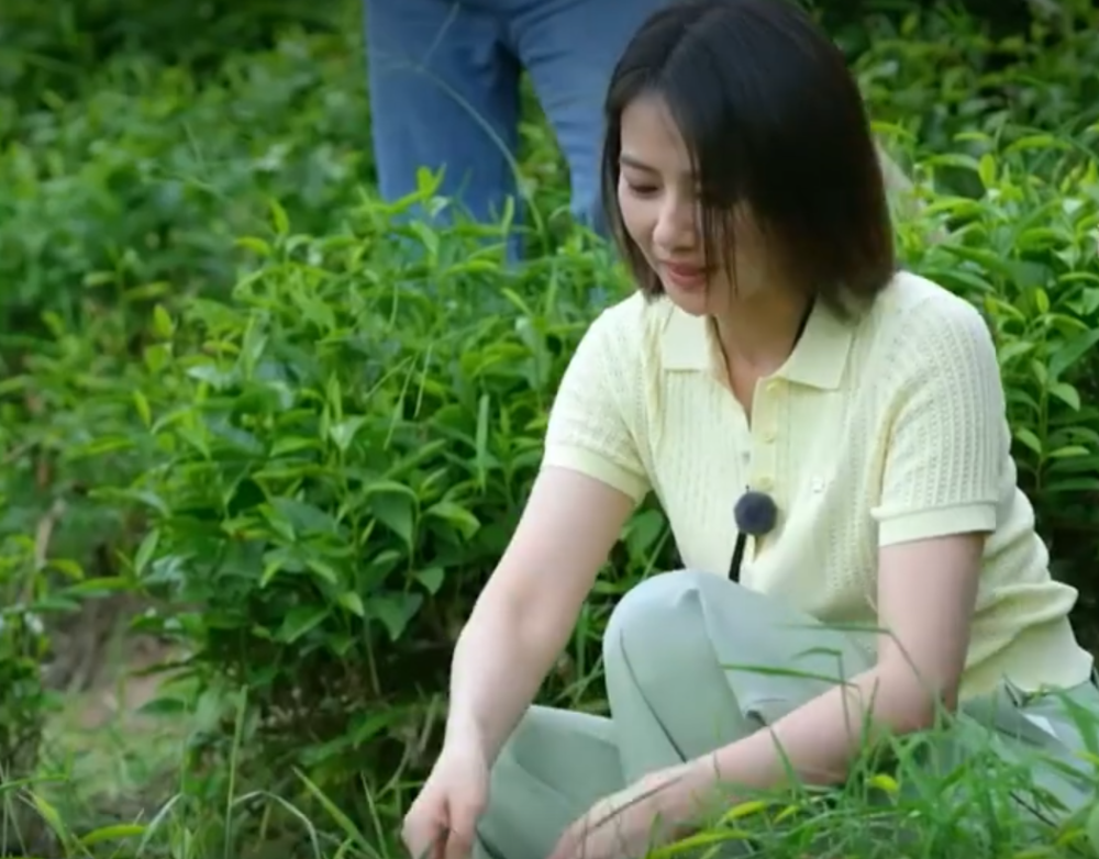 撒貝寧高圓圓下地採茶揮鋤頭幹農活超賣力合照張嘴大笑太歡快