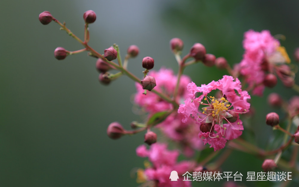 8月28日 9月3日爱情运势 桃花爆棚 良缘相伴的四大星座 腾讯新闻