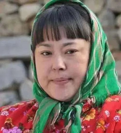 "胖嫂"李菁菁叒离婚了 还被指诈骗 丈夫比她小21岁