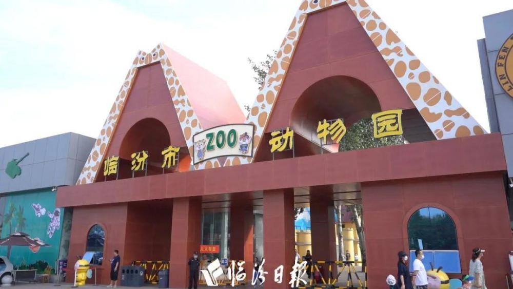 临汾动物园4只金钱豹成功入住