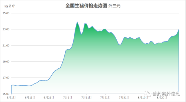 今日豬價,8月29日我國生豬價格再次大漲,消費力提升快