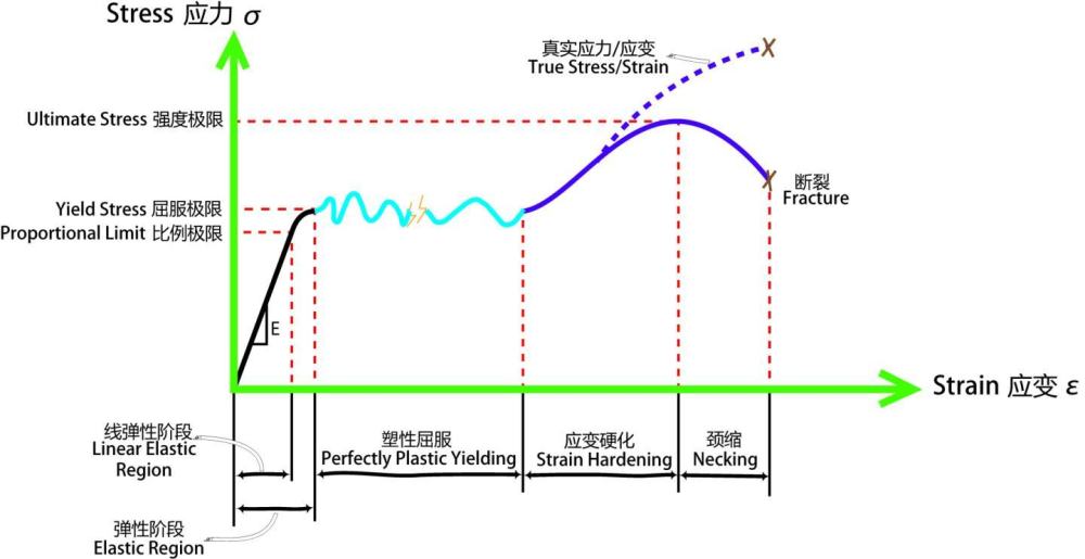 上观快讯｜中国空间站的拟南芥幼苗长出4片叶子，高杆水稻幼苗约30厘米高幻灯片动画制作