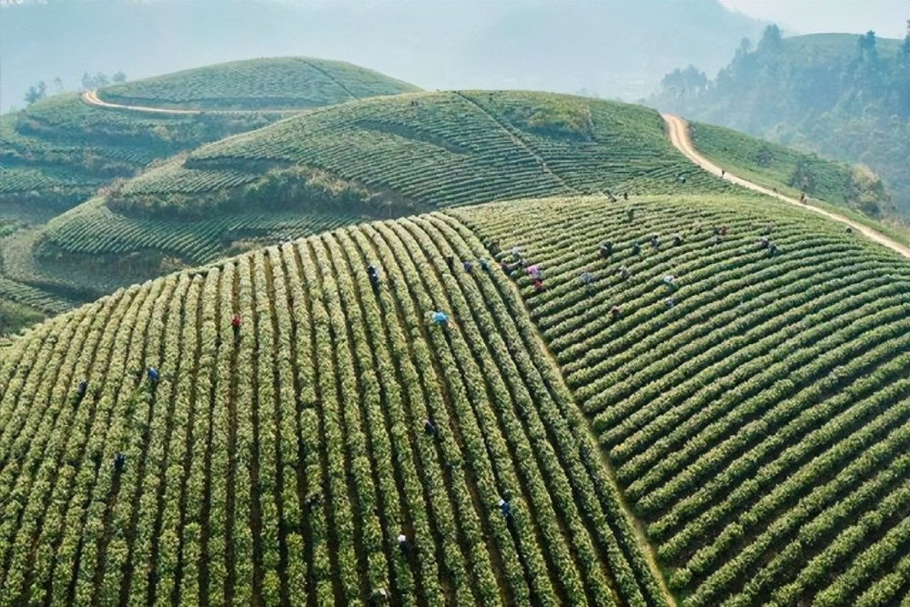 内江威远县越溪镇统战实践创新基地助力乡村振兴