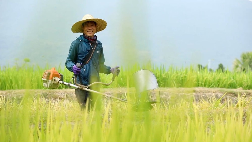 拉萨回应城关区疫情防控办接线员态度冷漠：严厉批评教育，调离岗位楼房阳宅风水入门基础知识