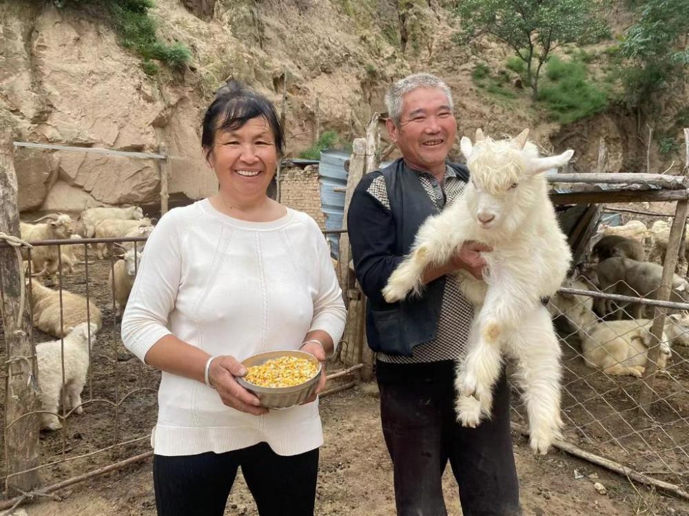 “羊倌”贺基诚的致富路_腾讯新闻