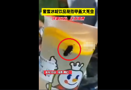 蜜雪冰城茶包被曝喝出多条虫子此前被曝出饮品中出现死虫客服回应
