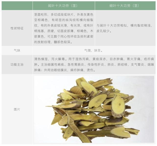 一个霸气的中药:十大功劳