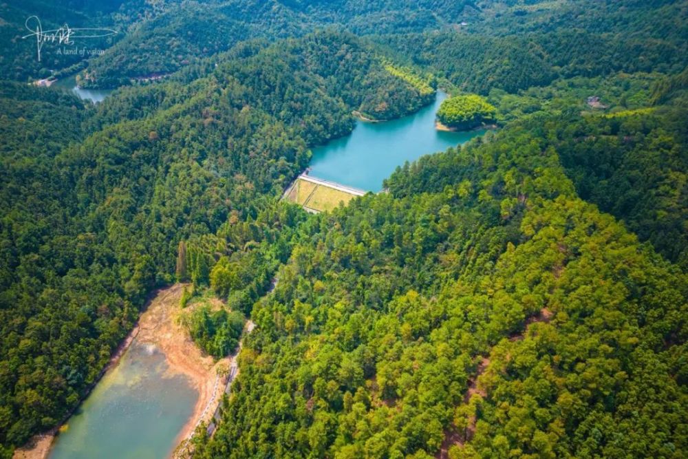 航拍40度高温下的甘岭水库,旁边就是有112年历史的长乐林场_腾讯新闻