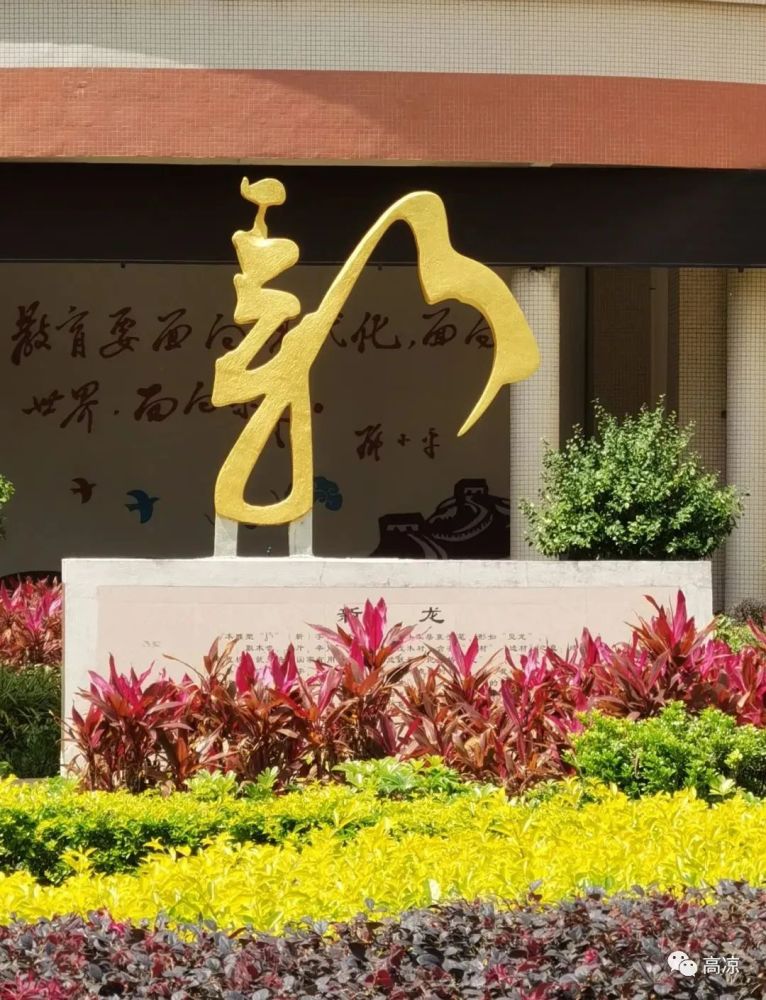 招聘茂名市新世纪学校2022年秋季学期招聘政府购买服务人员公告