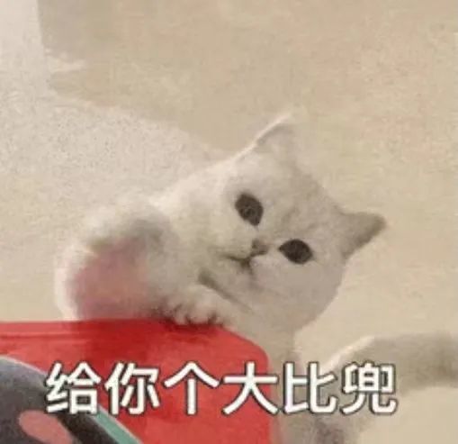 再说,再说,信不信我给你一个大比兜.