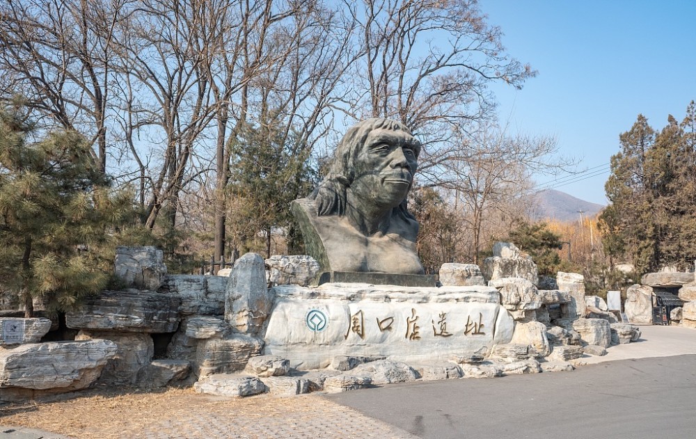 元謀人:在中國雲南元謀縣上落傍村西北小山崗上發現的