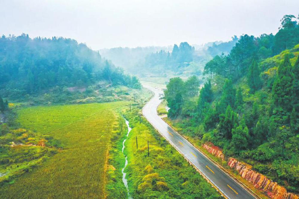 助力乡村振兴四川自贡贡井四好农村路为乡村带来人气财气