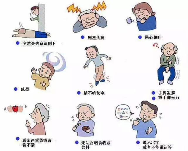 【"卒"不及防】出血性脑卒中丨高级卒中中心科普系列第四十期