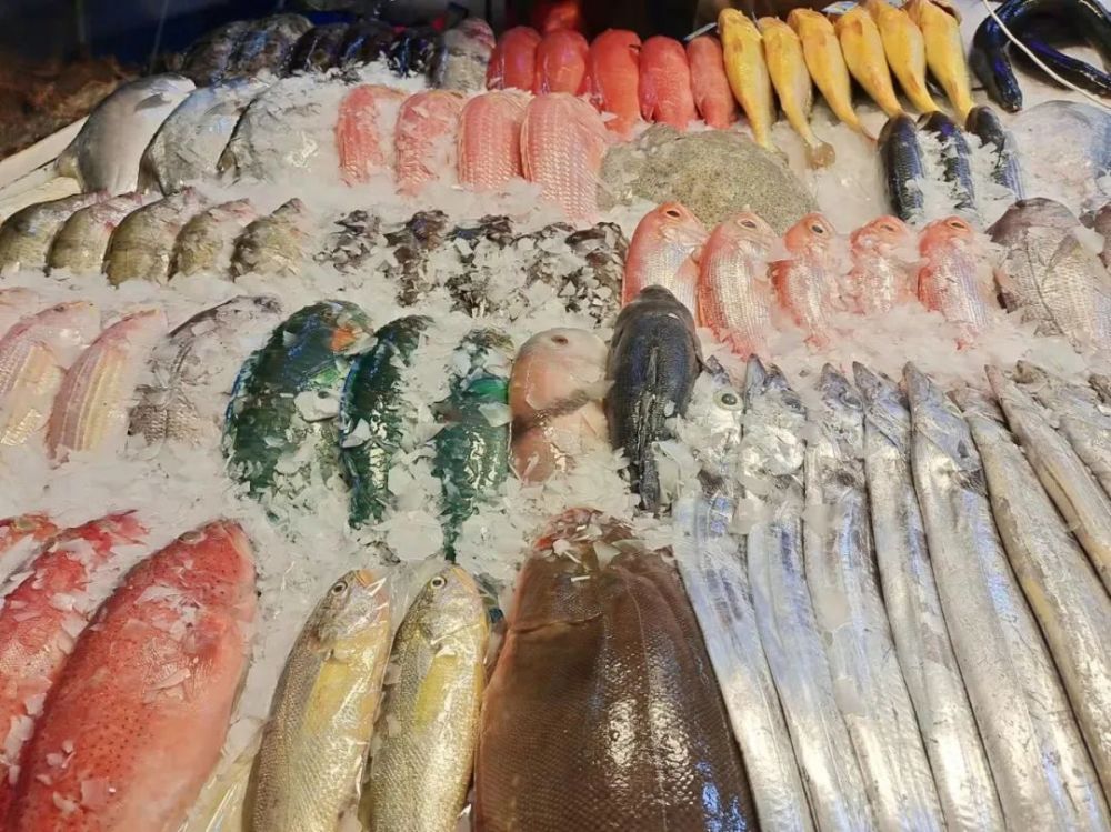 如果没有中国 日本永远吃不到今天的刺身 腾讯新闻