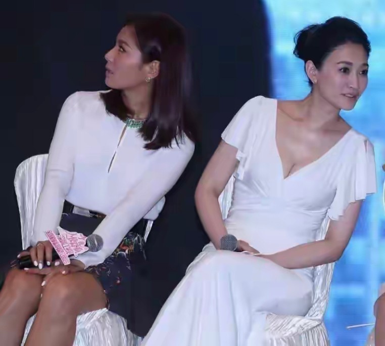 刘涛和李小冉同台,一个穿衬衫简约一个穿长裙高雅,气质被碾压插图3