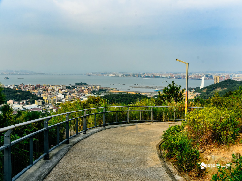 厦门大屏山郊野公园花季过后也值得来山海间的浪漫都在这里