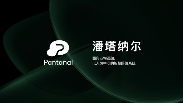 OPPO潘塔納爾，用開放生態把「蛋糕做大」英語六級考試