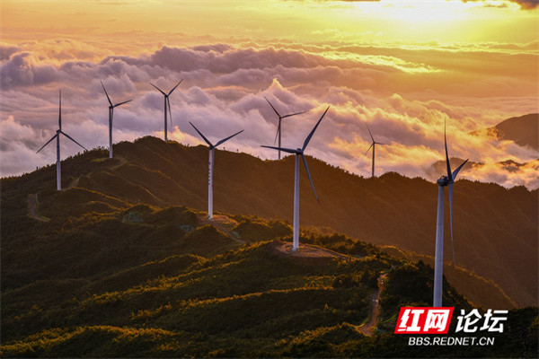 【每日一图@湖南】云兴霞蔚"大风车",江永燕子山一出绝美秋色